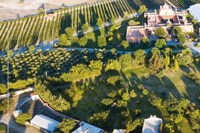 Vineyard, tour, tasting and fun in San Miguel de Allende - FAQ