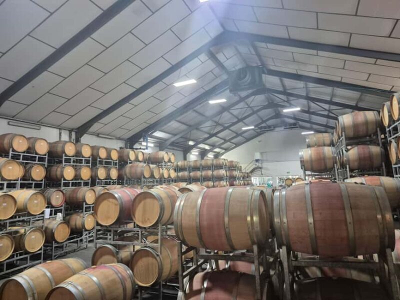 Vineyard Tour: Wine tasting, cheese and walking in Franschhoek - How This Tour Offers Value
