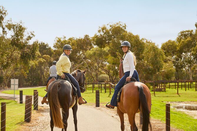 Vineyard Trail Ride and Taste at Jacobs Creek - An In-Depth Look at the Tour Experience
