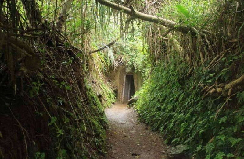 Vinh Moc Tunnels & Khe Sanh DMZ Tour from Hue or Phong Nha - Why the Guides Make All the Difference