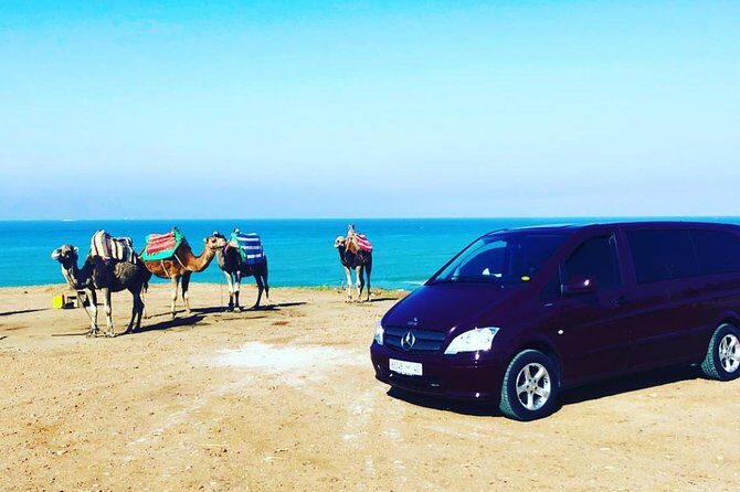 Vip 4 Hour Tangier Private Trip - Value and Practical Considerations