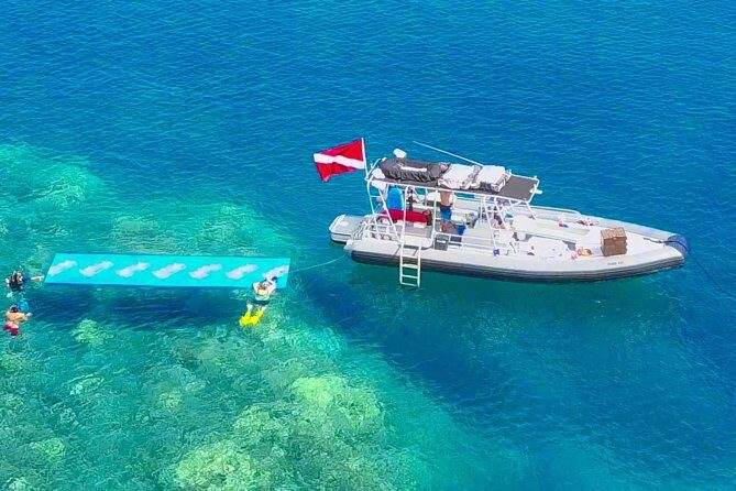 VIP Aloha Nui Snorkel Adventure w/ optional SCUBA from Lahaina - Snorkeling and Marine Life: What You’ll See