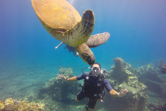 VIP Aloha Nui Snorkel Adventure w/ optional SCUBA from Lahaina - Comfort, Logistics, and Group Size