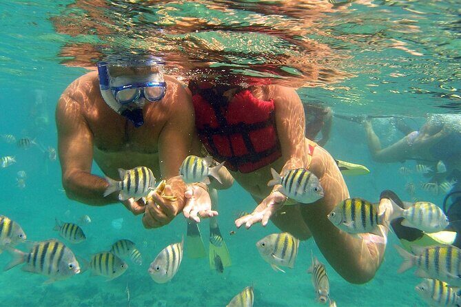 VIP Catamaran with Snorkeling - The Itinerary: What to Expect on This Catamaran Adventure