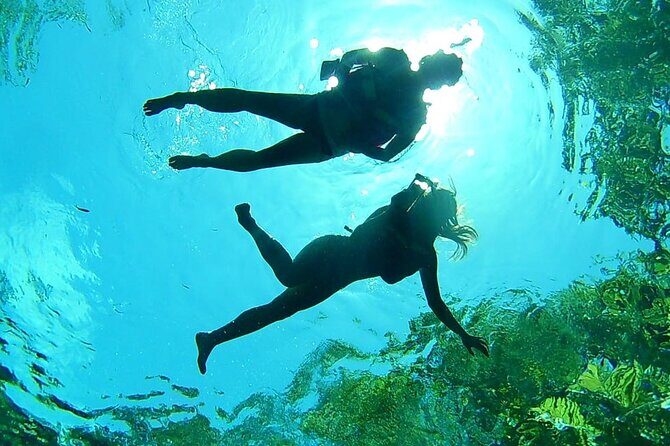 VIP Cenotes & ATVs Private Tour - Final Words