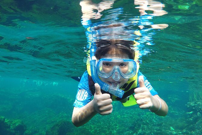 VIP Cenotes Private Tour - An In-Depth Look at the Itinerary