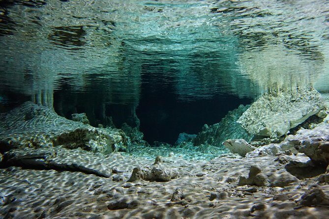 VIP Cenotes Private Tour - Who Will Love This Tour?