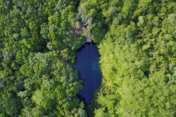 VIP Cenotes & Turtles Private Tour - The Itinerary: What to Expect on This In-Depth Tour