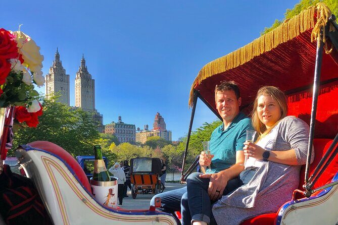 VIP Central Park Champagne Tour with Photos(50 min)~Skip the line - Why Consider the VIP Central Park Champagne Carriage Tour?