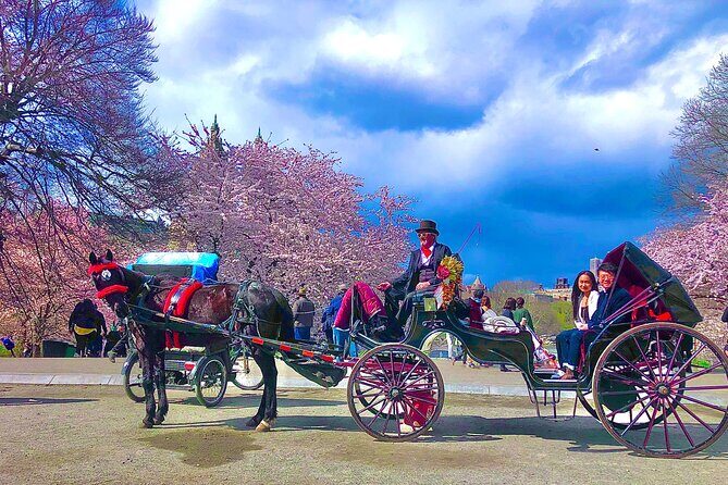 VIP Central Park Champagne Tour with Photos(50 min)~Skip the line - The Itinerary and Its Highlights
