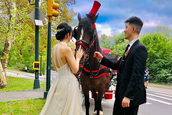 VIP Central Park Champagne Tour with Photos(50 min)~Skip the line - The Price and Its Value