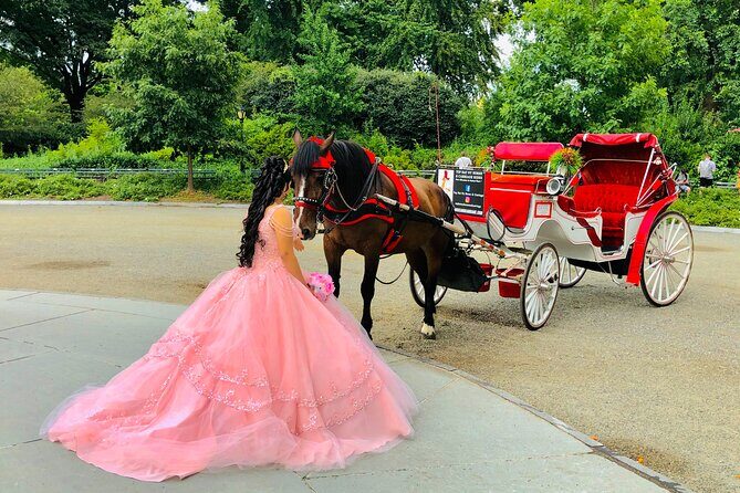 VIP Central Park Champagne Tour with Photos(50 min)~Skip the line - Practical Tips for Booking and Enjoying the Tour