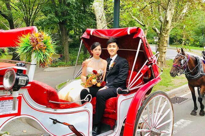 VIP Central Park Champagne Tour with Photos(50 min)~Skip the line - FAQs