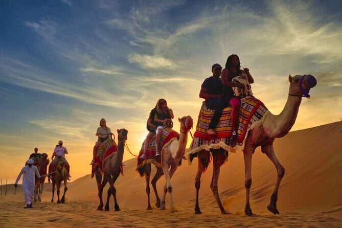 VIP Desert Safari Camel Ride Sand Boarding & BBQ Dinner - The Sum Up