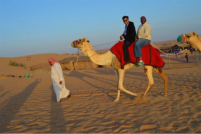 VIP Desert Safari Dubai - The Itinerary Unpacked: What to Expect