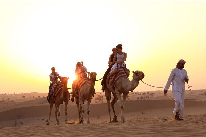 VIP Desert Safari Dubai with BBQ Dinner and Camel Riding - Authentic Feedback from Travelers