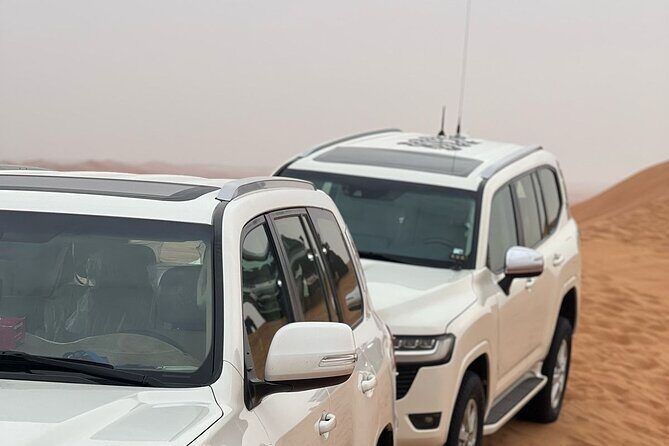 VIP Desert Safari with 4x4 pick up & drop, camel ride bbq dinner - Final thoughts