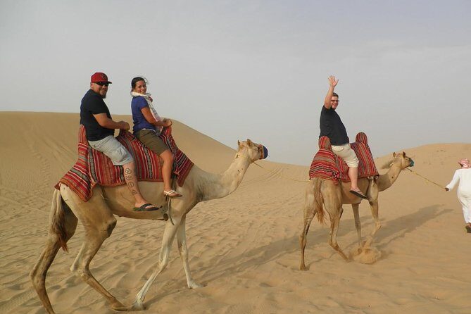 VIP Dubai Desert Safari with Dinner served at table and 3 live Shows - Final Thoughts: Who’s This Tour For?