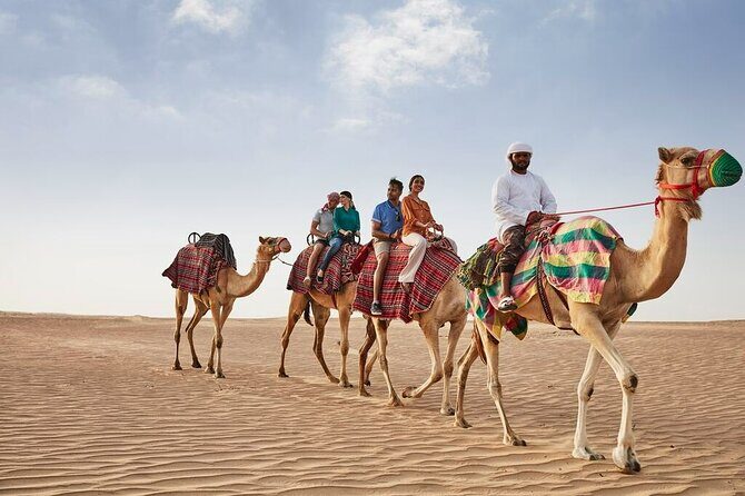 VIP Dubai Sunset Desert Safari: Camel Ride, BBQ, Unlimited Spirit - What Travelers Say: Authentic Impressions