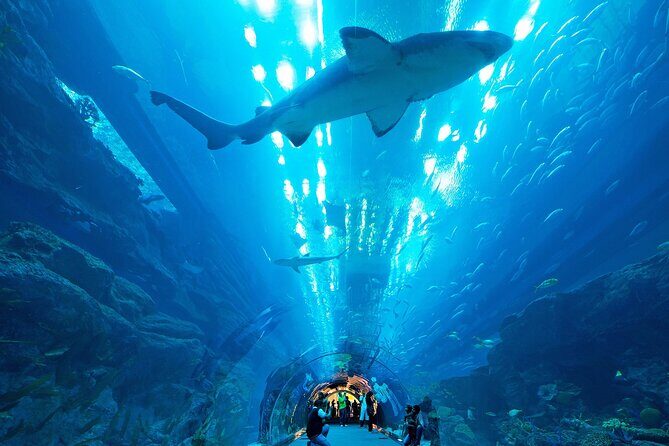 VIP Experience Dubai Aquarium & Underwater Zoo-As per Selection - Final Verdict