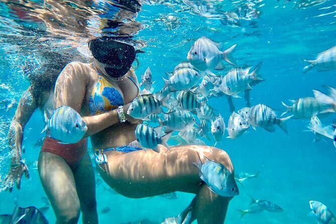 VIP Fascinating Boat Ride & Snorkeling at Sosua Bay - Introduction: A Fun-Filled Day on the Water in Puerto Plata