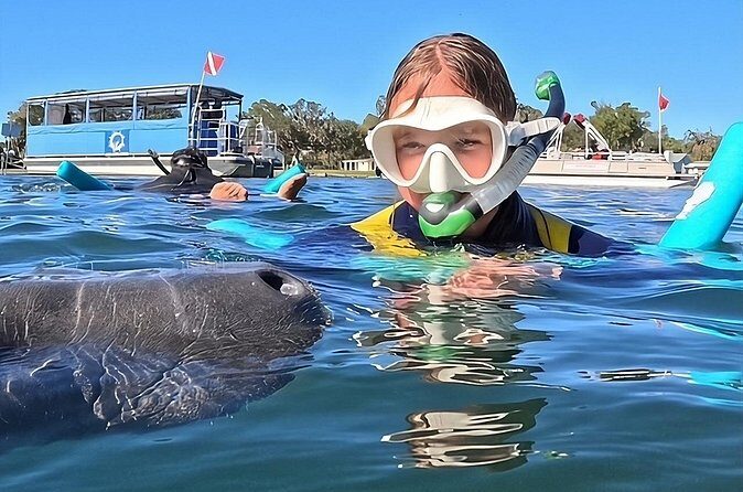 VIP Guided Swim with Manatee Tour Crystal River FL Free Photos - FAQ