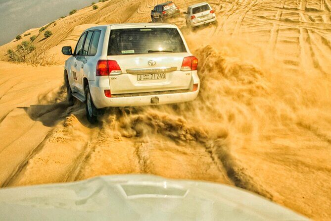 VIP Half Day Private Desert Safari in Dubai - Who Will Enjoy This Tour?