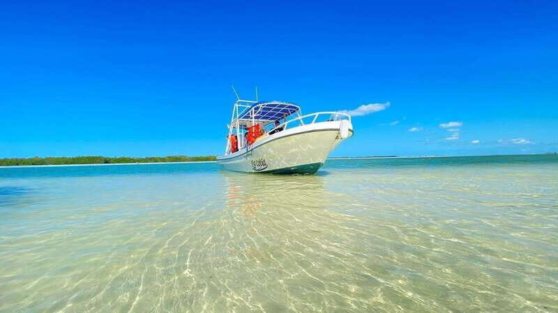 VIP Holbox Island Sunrise - 2 Points + Fruit + Coffee - Practicalities and What to Bring