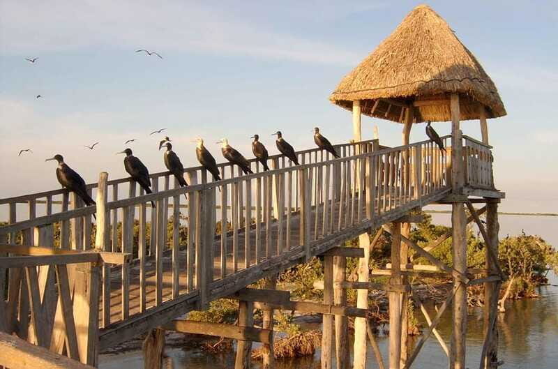 VIP Holbox Island Sunrise - 2 Points + Fruit + Coffee - Price and Value Analysis