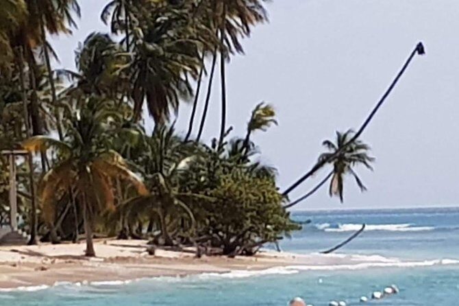 VIP Inclusive Private Tour of Island (Lunch, Drinks + Snorkeling) - Final Thoughts