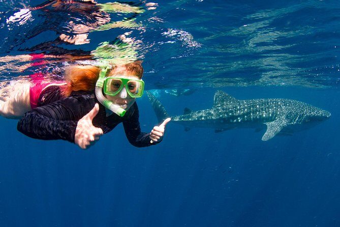 VIP luxury chartered escapes, exploring the reef at your own pace - An Overview of the Experience