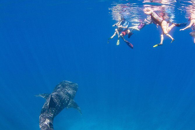 VIP luxury chartered escapes, exploring the reef at your own pace - Frequently Asked Questions