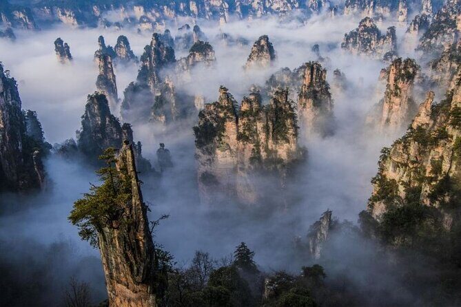 VIP Mini Group:Avatar Mountains & Tianmen Mountain & Glass Bridge - Who Will Love This Tour?