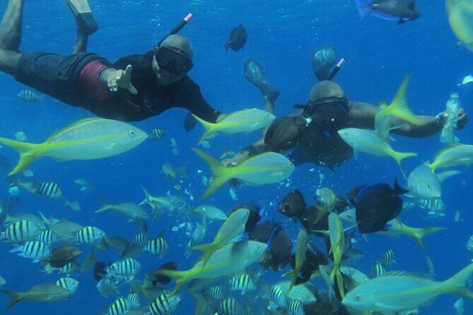VIP Party Boat & Snorkeling - An Honest Look at the Experience