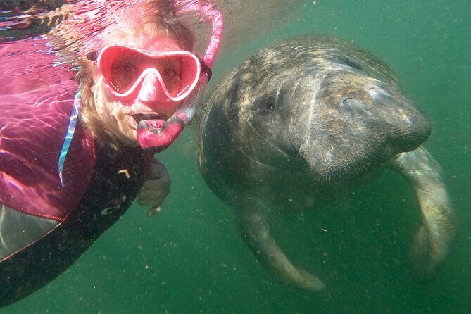 VIP Private Boat Manatee Snorkel Tour with In-Water Guide and Photograper - The Itinerary: What You Can Expect