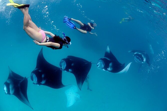 VIP Private Boat to Nusa Penida: Snorkeling with Mantas + Land Tour Adventure - What Travelers Say