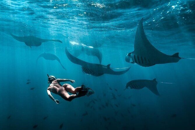 VIP Private Boat to Nusa Penida: Snorkeling with Mantas + Land Tour Adventure - FAQ