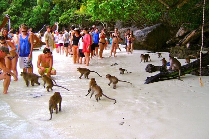 VIP Private Boat to Phi Phi Island: Snorkeling + Land Tour - FAQ