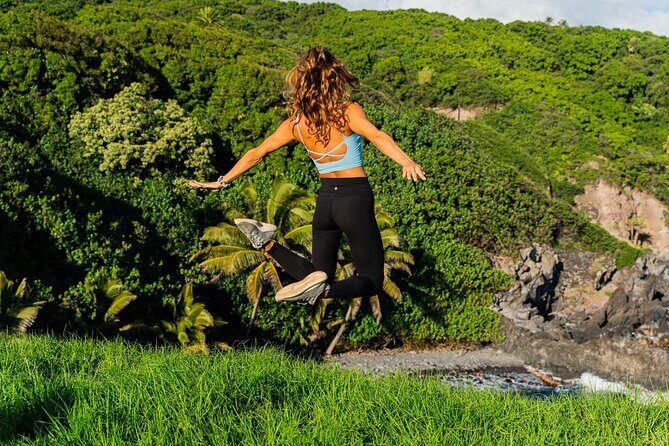 VIP Private Full-Day Road to Hana Tour from Lahaina-Kapalua - Key Points