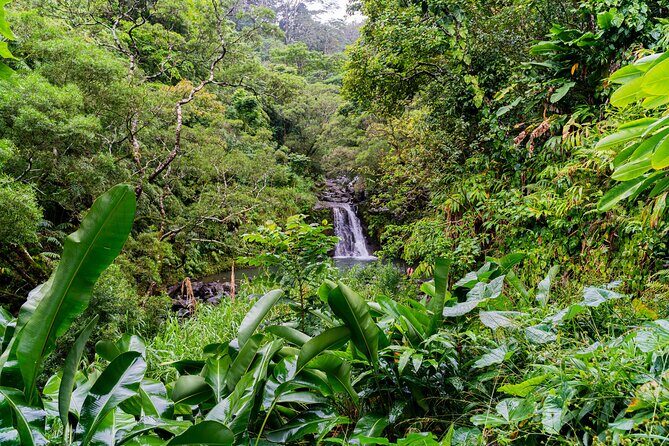 VIP Private Full-Day Road to Hana Tour from Lahaina-Kapalua - A Closer Look at the Itinerary and What to Expect