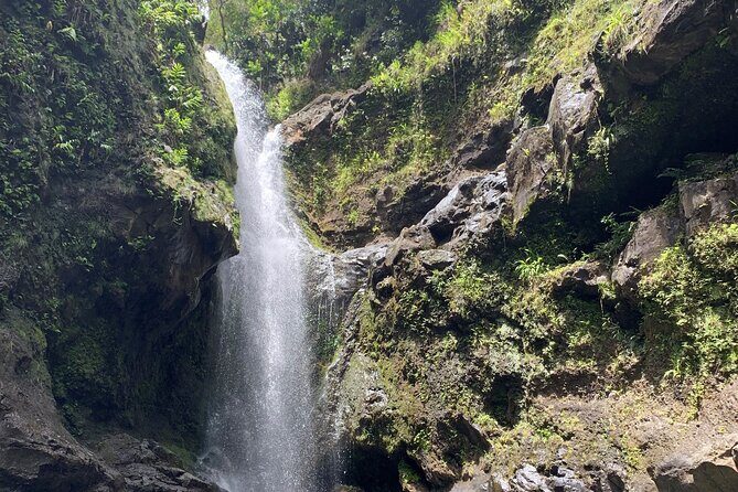 VIP Private Full-Day Road to Hana Tour from Lahaina-Kapalua - FAQs