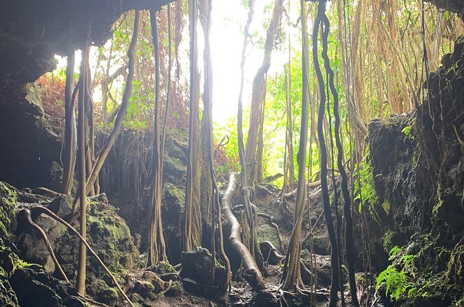 VIP Private Full-Day Road to Hana Tour from Lahaina-Kapalua - The Bottom Line