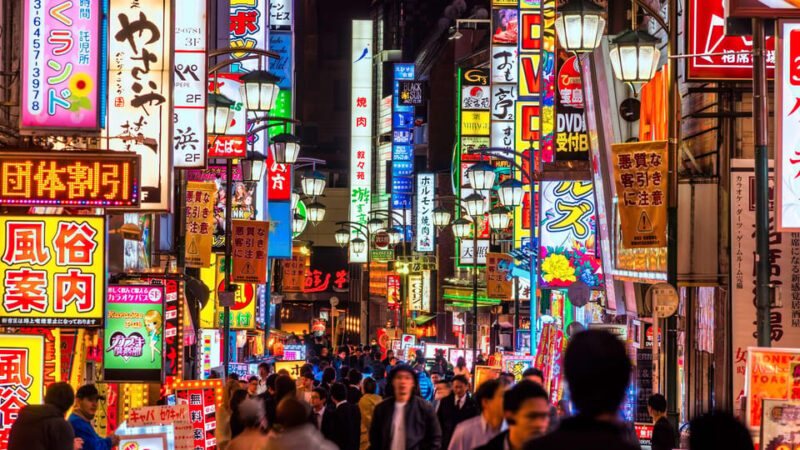 VIP Private Hostess Club Tokyo Night Life Karaoke with Girls - Authenticity and Cultural Insight