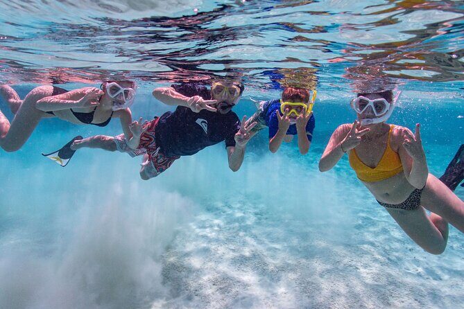 VIP Private Island & Snorkeling Tour South Bonaire - Key Points