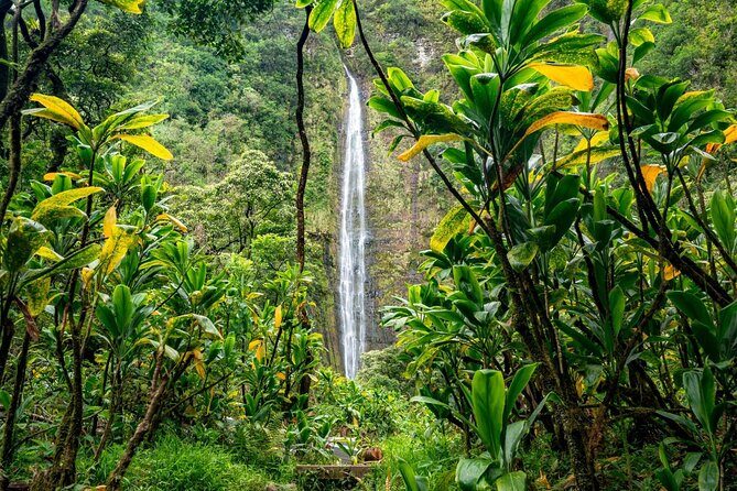 VIP Private Road to Hana Tour with Pick Up - FAQ