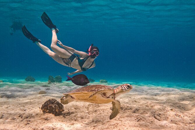 VIP Private Snorkeling Tour with Underwater Photos - An Honest Look at the VIP Private Snorkeling Tour in Bonaire