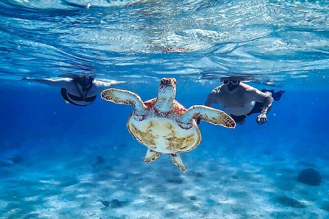VIP Private Snorkeling Tour with Underwater Photos - Final Thoughts: Who Will Love This Tour?