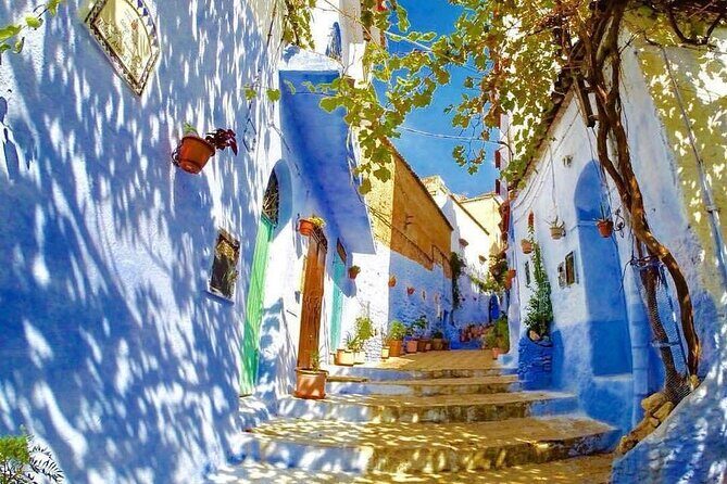Vip Private Transfer to Chefchaouen from Tangier or Vice Versa - Key Points