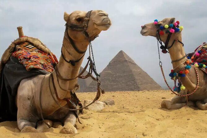VIP Pyramids tour, Camel Ride, Museum, and Khan +local meal - A Deep Dive into the Cairo VIP Tour