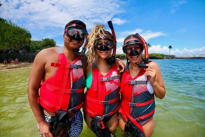 VIP San Juan: Snorkeling Tour with Turtles with Free Videos - Who Will Love This Tour?